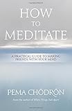 How to Meditate: A Practical Guide to Making Friends with Your Mind How to Meditate: A Practical Guide to Making Friends with Your Mind