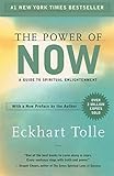 The Power of Now The Power of Now