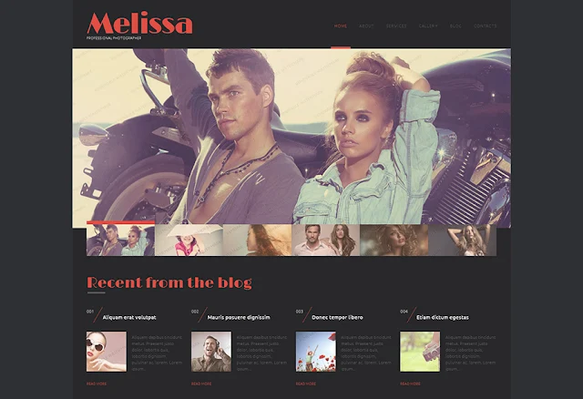 Free WordPress Photography Theme
