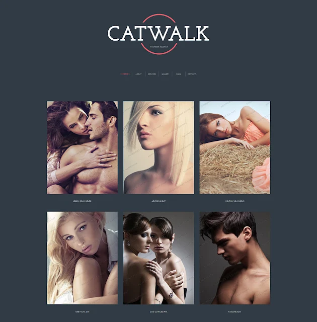 Free WordPress Fashion Agency Theme