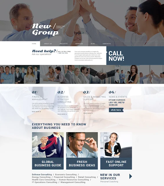 Free WordPress Theme for Consulting Firm