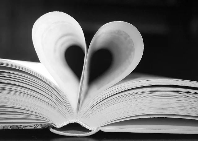 8 Best Romantic Novels That Worth A Read 8 Best Romantic Novels That Worth A Read