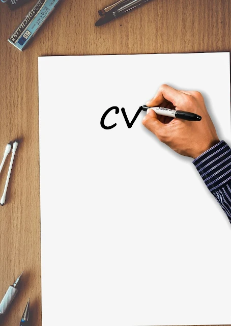  What format should a CV have? DISC profile creates the best leaders